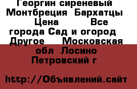 Георгин сиреневый. Монтбреция. Бархатцы.  › Цена ­ 100 - Все города Сад и огород » Другое   . Московская обл.,Лосино-Петровский г.